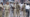 Bihar Police Constable Recruitment 2025