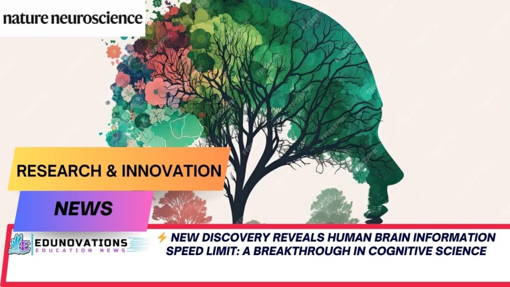 Human Brain Information Speed Limit Found in New Study