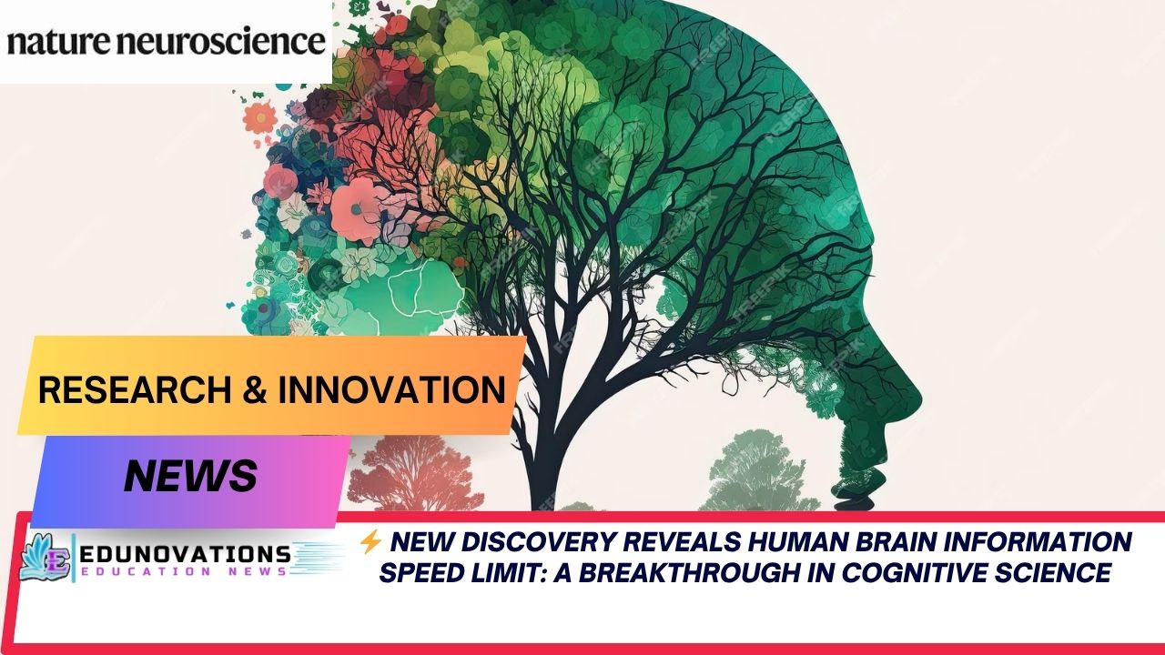 Human Brain Information Speed Limit Found in New Study