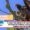 Impact of Vulture Decline on Disease Spread