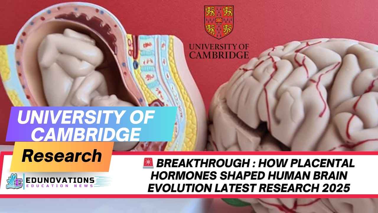 Placental Hormones Shaped Human Brain Evolution