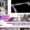 microgravity crop seeds experiment on ISS space biology payload