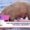 5-day pig farming entrepreneurship training for rural livelihoods