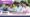 ACPDC Gujarat diploma merit list 2025 pdf download