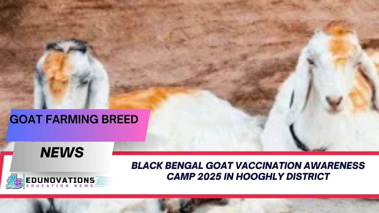 Black Bengal Goat Vaccination Awareness Camp 2025 in Hooghly