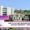 How to Pay Odd Semester Fees Online at Sushant University – 2025 Update