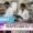 IARI students selected as Scientist‑B in Central Silk Board 2025