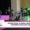 international classical quantum optics conference India 2024 highlights