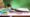make SSC portal blind friendly 2025