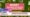 ncert botany assistant professor recruitment 2025 application