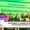 sustainability awards for educational institutions in Bangalore