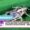 white‑backed planthopper SBRSD virus control in rice crops