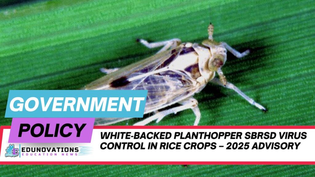 white‑backed planthopper SBRSD virus control in rice crops