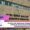 IIT Delhi and Wadhwani Foundation Launch Centre of Excellence