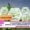 IP Awareness Programme for Agricultural Researchers