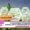 IP Awareness Programme for Agricultural Researchers
