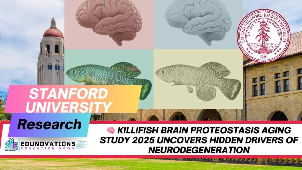 Killifish Brain Proteostasis Aging Study