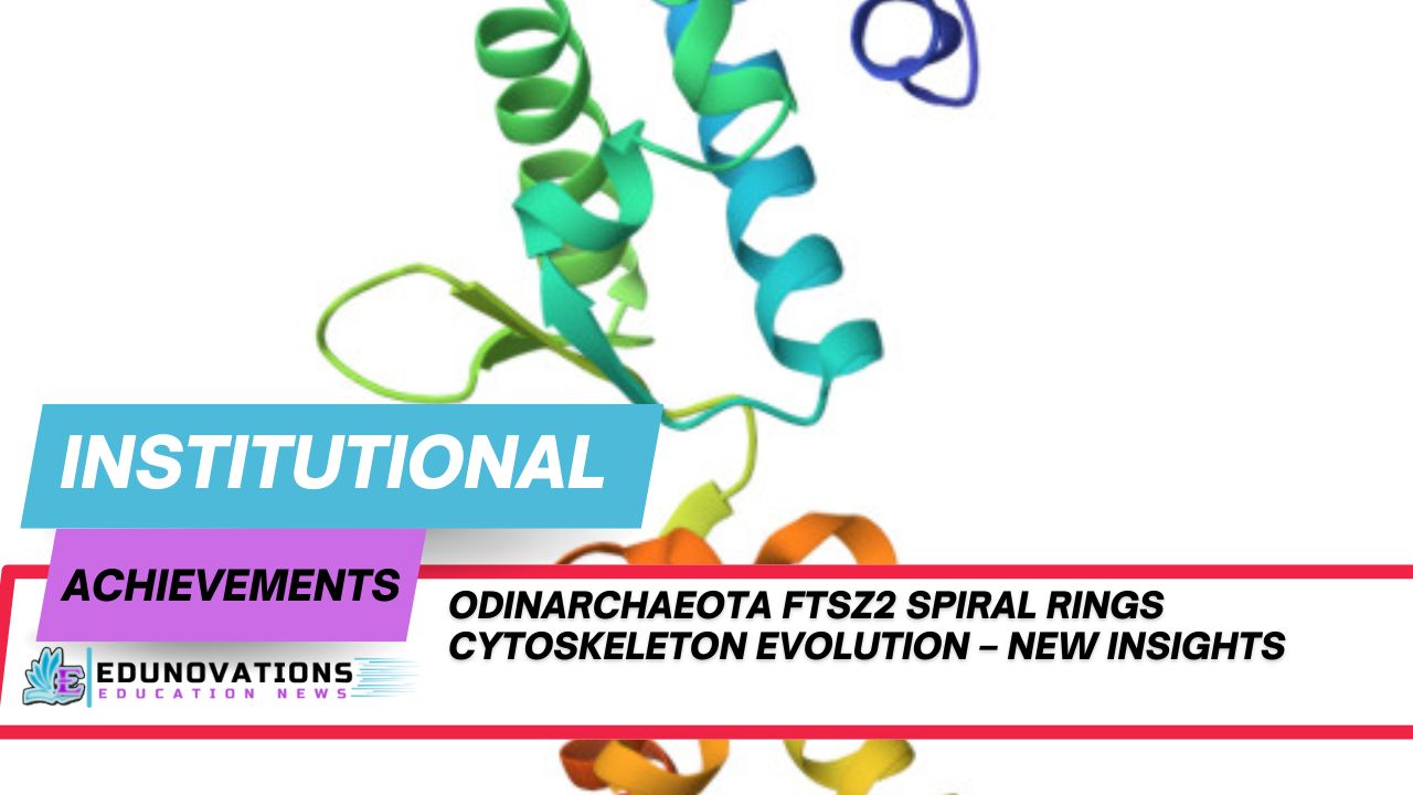 Odinarchaeota FtsZ2 spiral rings cytoskeleton evolution