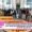 IIT Delhi sustainable energy research projects 2025