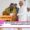 ISRO Chairman visit to SSSIHL Prasanthi Nilayam