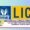 LIC AAO Admit Card 2025 download link licindia.in