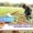 Madagascar India agricultural collaboration 2025