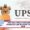 UPSC NDA 2 result 2025 merit list PDF download link
