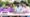 ICAI CA September 2025 result expected release date India