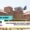 IGNOU December 2025 project submission guidelines