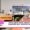 IVRI Palampur animal disease research workshop 2025