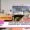 IVRI Palampur animal disease research workshop 2025