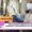 Nipah virus therapeutic advancements Dr. Kumar research