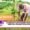 Scheduled Caste farmer training program Himachal Pradesh 2025