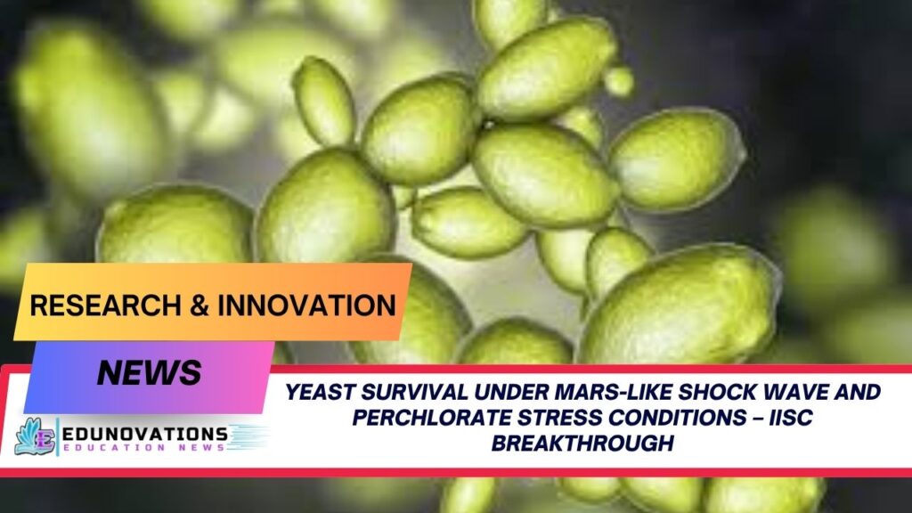 yeast survival under Mars-like shock wave and perchlorate stress conditions