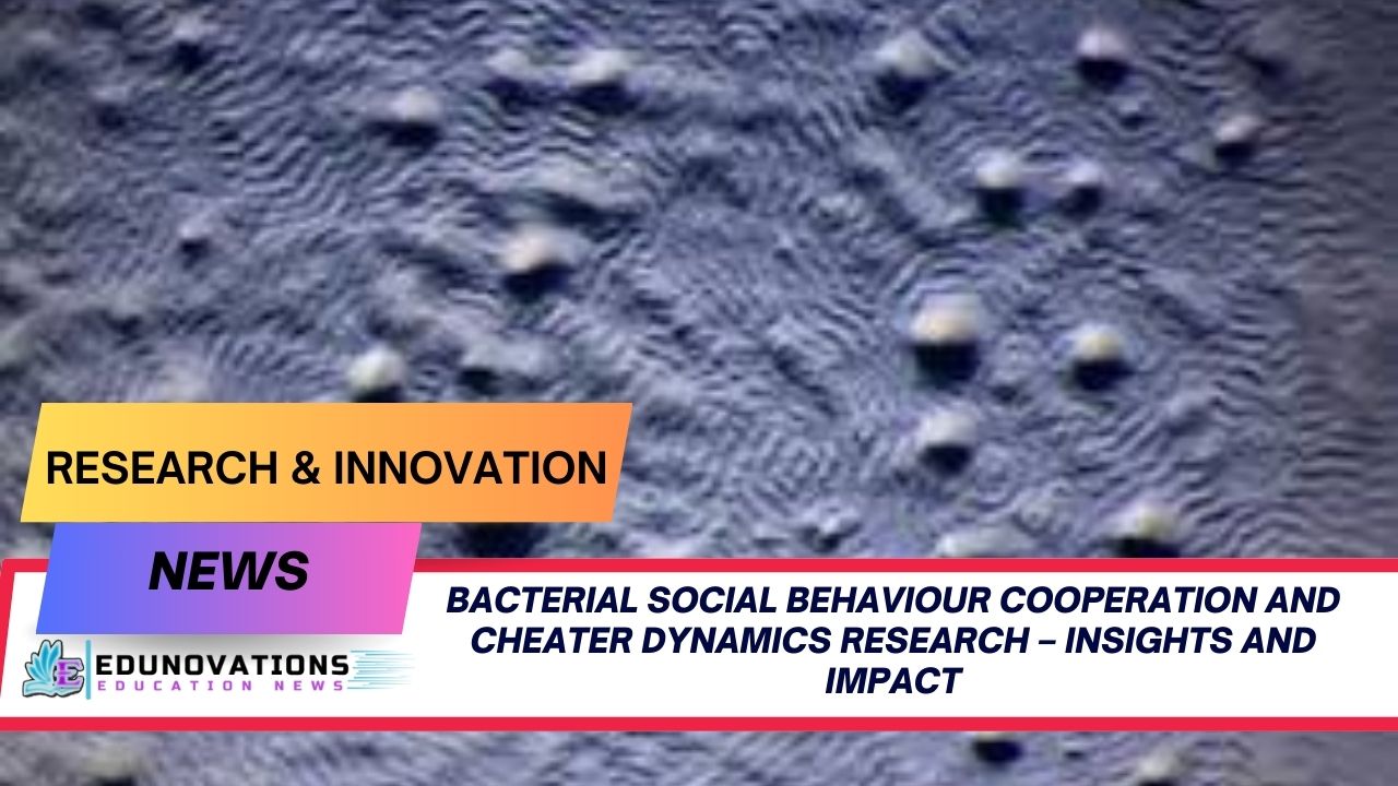 bacterial social behaviour cooperation and cheater dynamics research