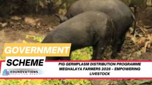 pig germplasm distribution programme Meghalaya farmers 2026