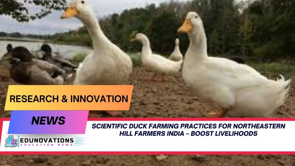 scientific duck farming practices for northeastern hill farmers India