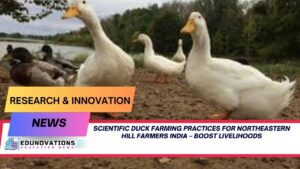 scientific duck farming practices for northeastern hill farmers India