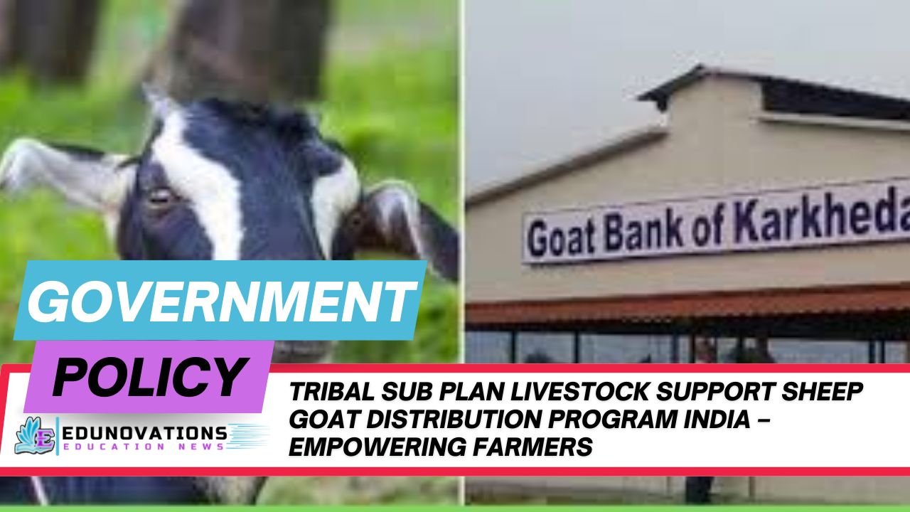 Tribal Sub Plan Livestock Support Sheep Goat Distribution Program India – Empowering Farmers