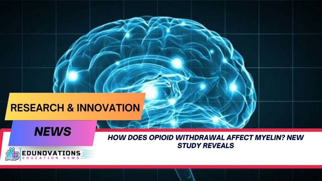 how does opioid withdrawal affect myelin
