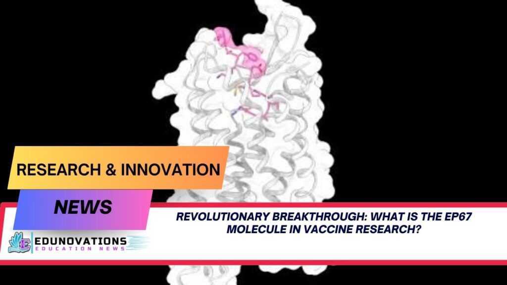 What is the EP67 molecule in vaccine research