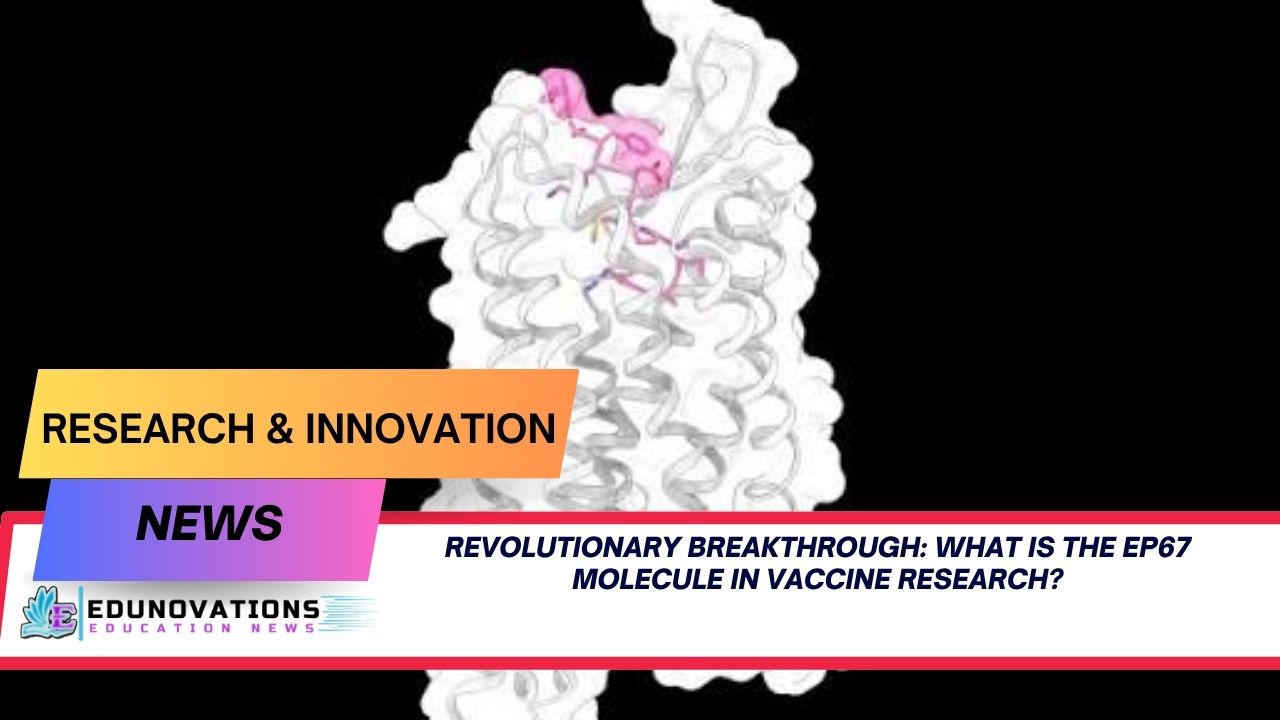 What is the EP67 molecule in vaccine research