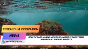 role of rare marine microorganisms in ecosystem stability