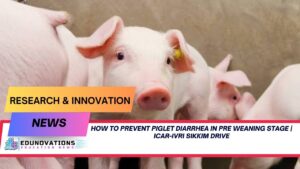 how to prevent piglet diarrhea in pre weaning stage