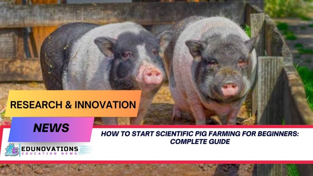how to start scientific pig farming for beginners